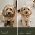 Load image into Gallery viewer, Calm Pet Botanic Therapy Shampoo
