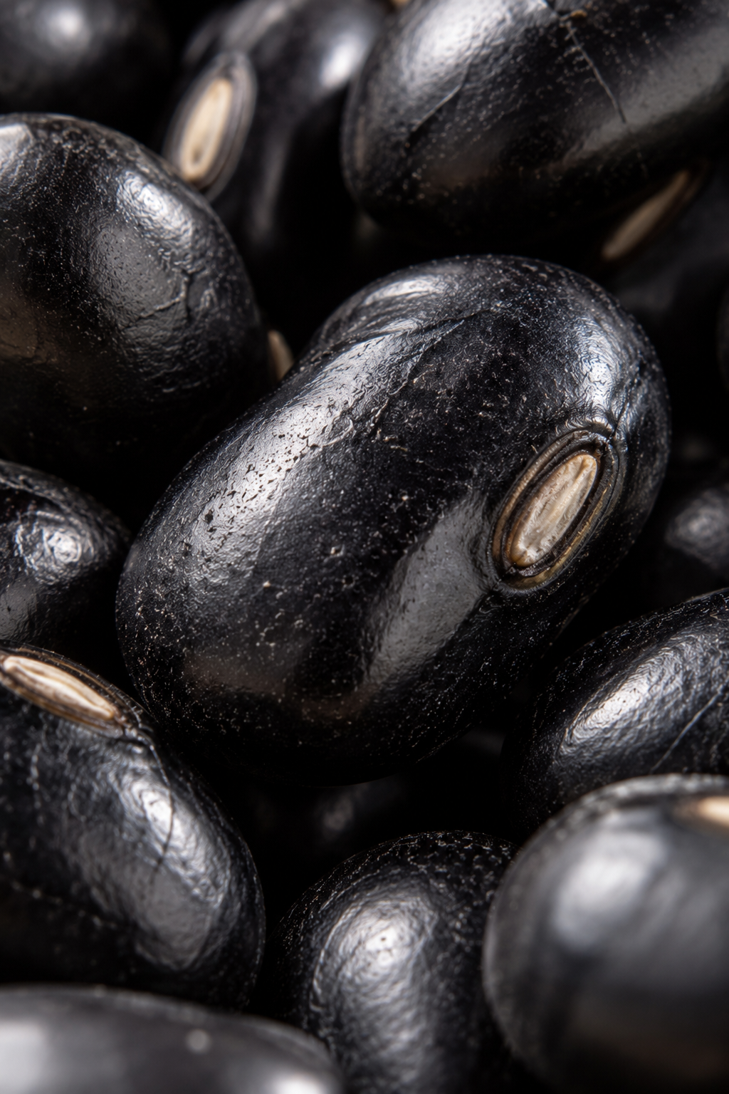 Black Bean