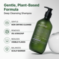 Load image into Gallery viewer, Cleanse and Refresh Shampoo Set
