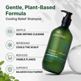 Load image into Gallery viewer, Cleanse and Refresh Shampoo Set
