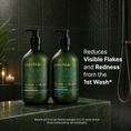 Load image into Gallery viewer, Cleanse and Refresh Shampoo Set
