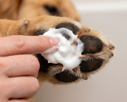 Pet Paw Foaming Cleanser