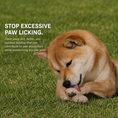 Load image into Gallery viewer, Pet Paw Foaming Cleanser 2 Pack
