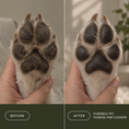 Load image into Gallery viewer, Pet Paw Foaming Cleanser 2 Pack
