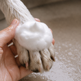 Load image into Gallery viewer, Pet Paw Foaming Cleanser 2 Pack
