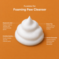 Load image into Gallery viewer, Pet Paw Foaming Cleanser
