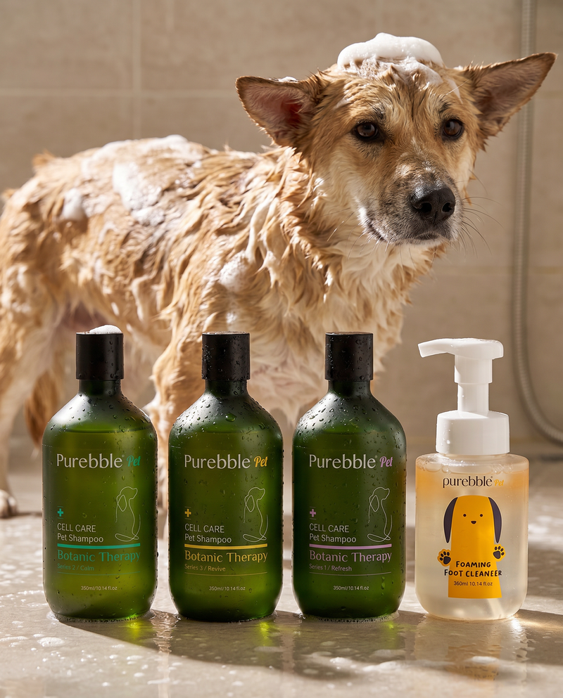 Complete Pet Spa Essentials
