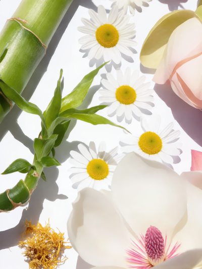 Botanical Ingredients