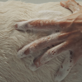 Load image into Gallery viewer, Refresh Pet Botanic Therapy Shampoo
