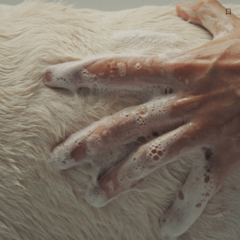 Refresh Pet Botanic Therapy Shampoo